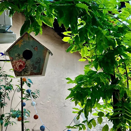 Il Balconcino Del Centro Storico