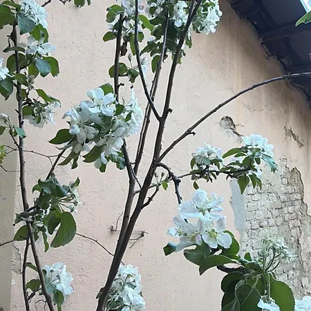 Il Balconcino Del Centro Storico Daire Torino