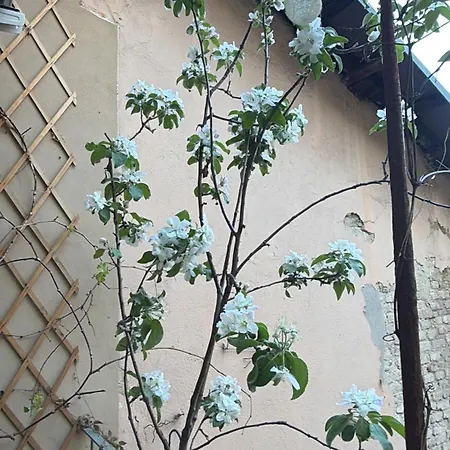 Il Balconcino Del Centro Storico * トリノ