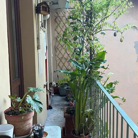 Il Balconcino Del Centro Storico アパート
