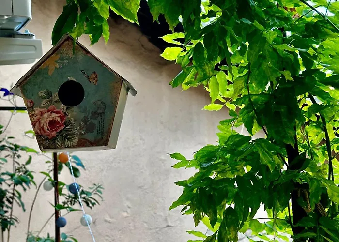 Il Balconcino Del Centro Storico