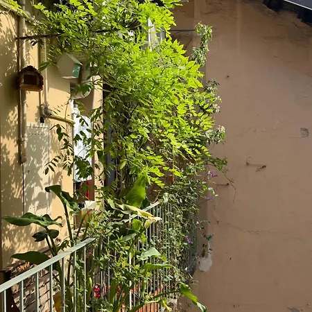 Il Balconcino Del Centro Storico *