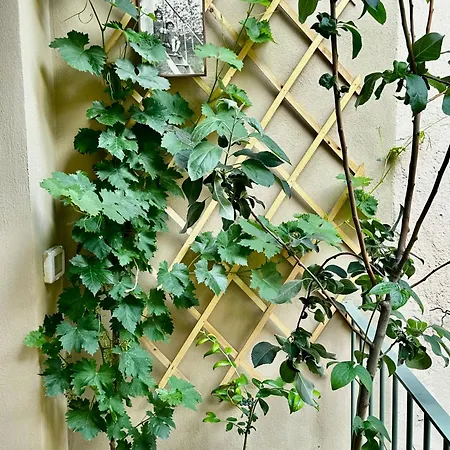 Il Balconcino Del Centro Storico *