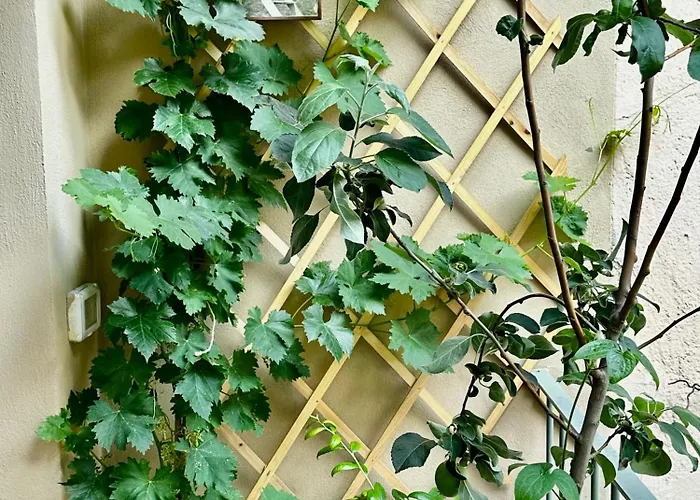 Il Balconcino Del Centro Storico *
